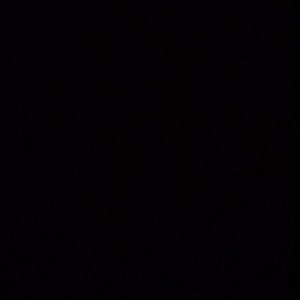 Meet your Posher, India